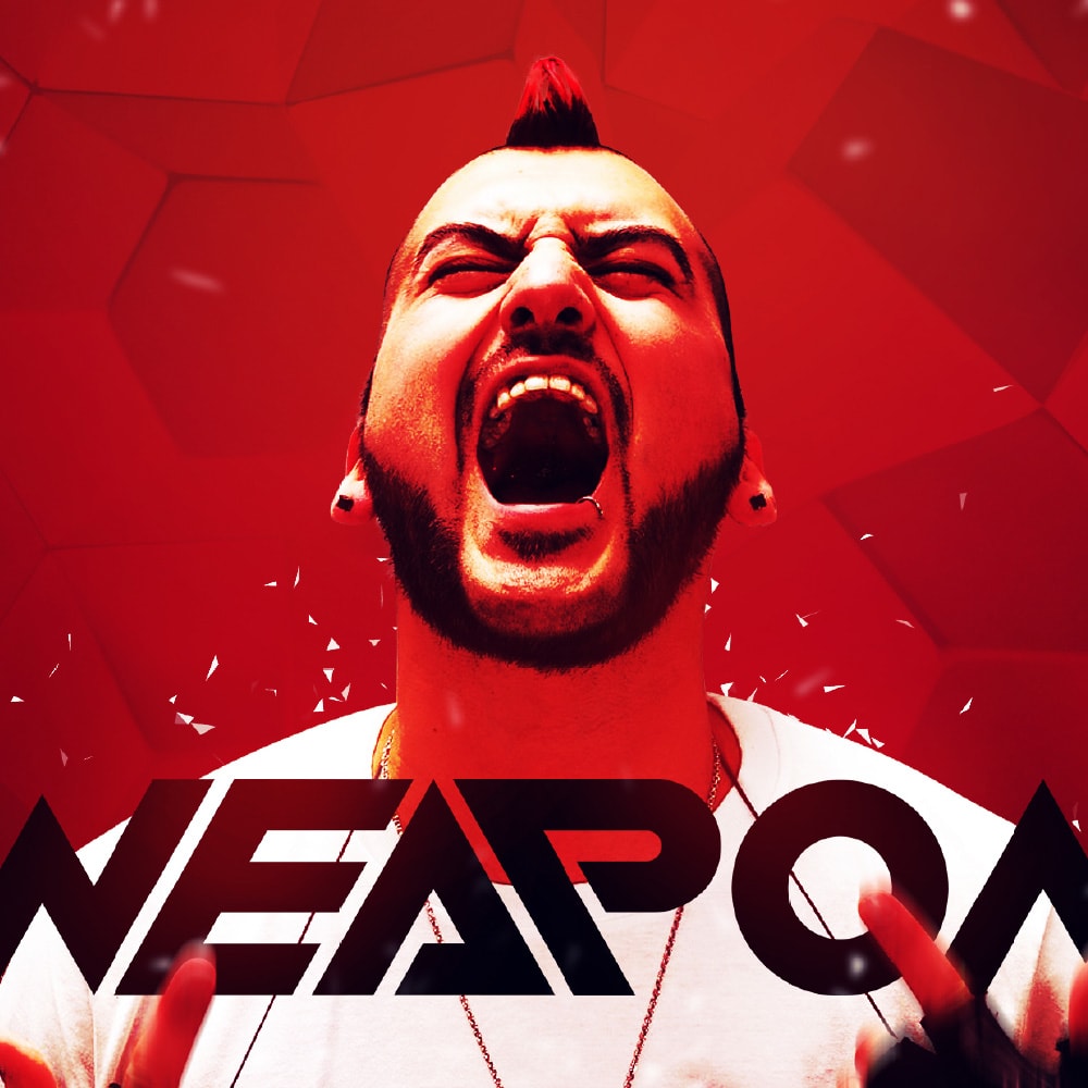 DJ Weapon Logo & Press Kit